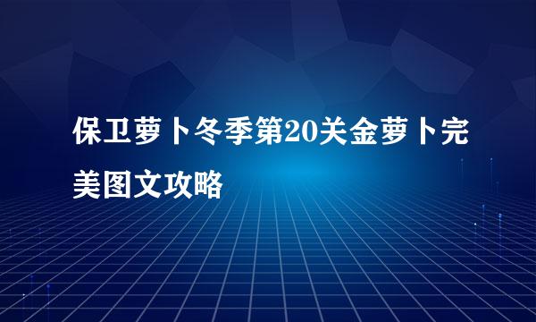 保卫萝卜冬季第20关金萝卜完美图文攻略