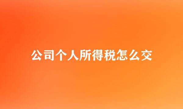 公司个人所得税怎么交