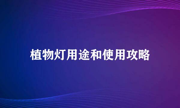 植物灯用途和使用攻略