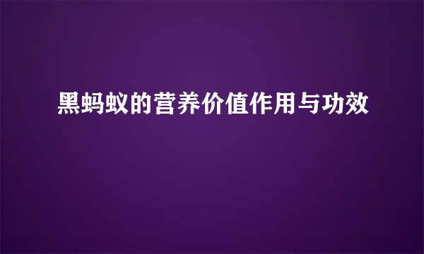 黑蚂蚁的营养价值作用与功效