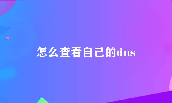 怎么查看自己的dns