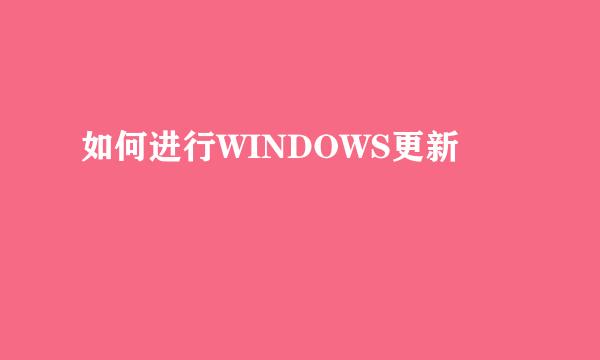 如何进行WINDOWS更新