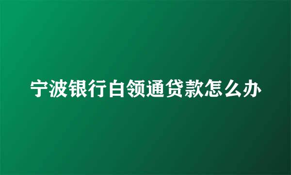 宁波银行白领通贷款怎么办