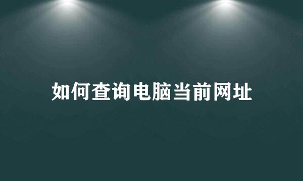 如何查询电脑当前网址