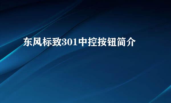 东风标致301中控按钮简介