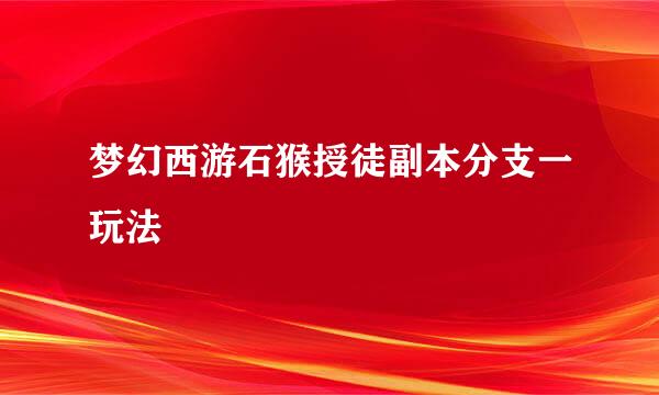 梦幻西游石猴授徒副本分支一玩法