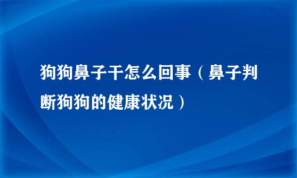 狗狗鼻子干怎么回事（鼻子判断狗狗的健康状况）