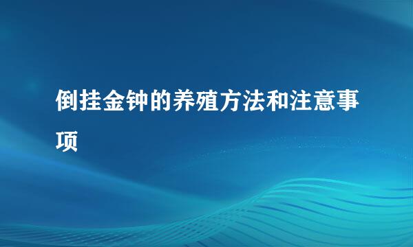 倒挂金钟的养殖方法和注意事项