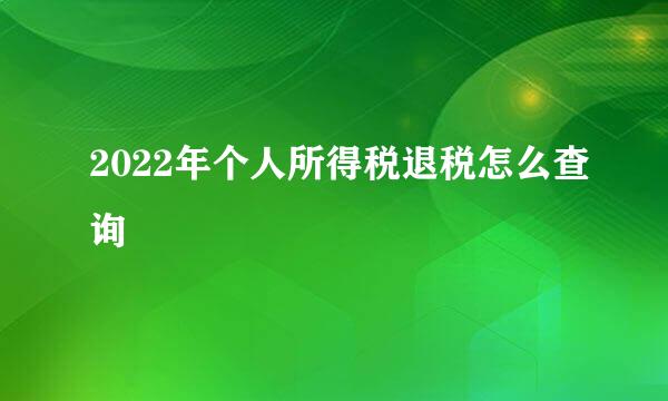 2022年个人所得税退税怎么查询