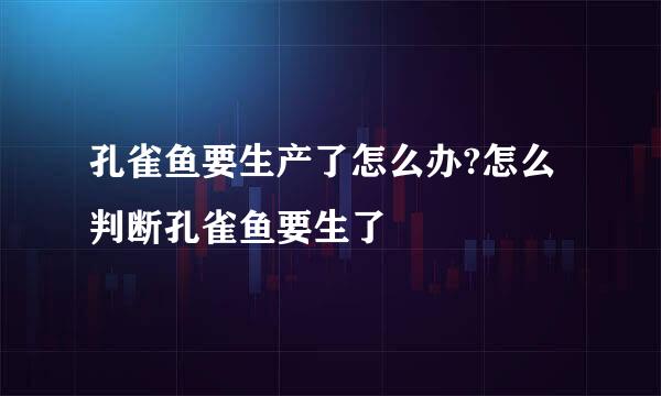 孔雀鱼要生产了怎么办?怎么判断孔雀鱼要生了