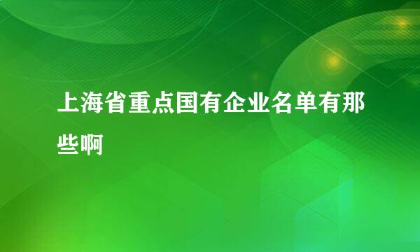 上海省重点国有企业名单有那些啊