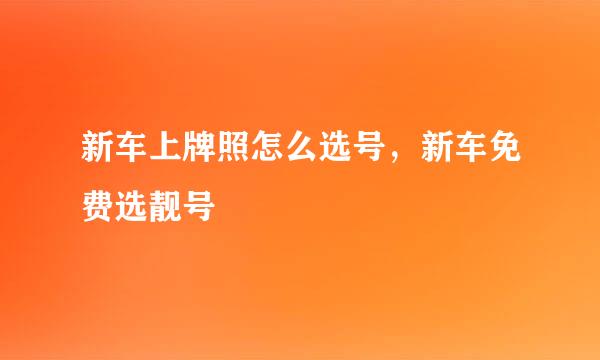 新车上牌照怎么选号，新车免费选靓号