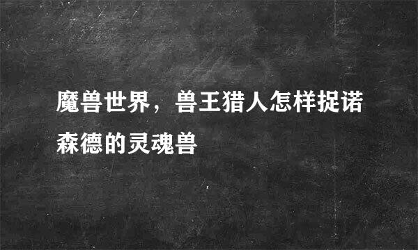 魔兽世界，兽王猎人怎样捉诺森德的灵魂兽