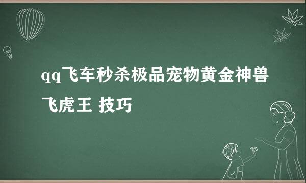 qq飞车秒杀极品宠物黄金神兽飞虎王 技巧