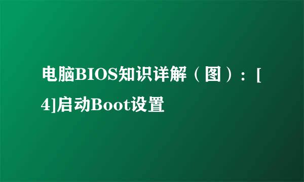 电脑BIOS知识详解（图）：[4]启动Boot设置