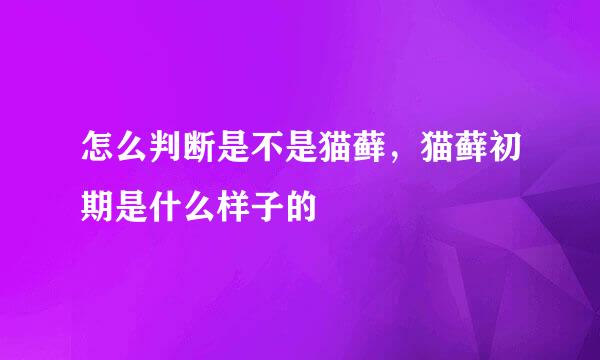 怎么判断是不是猫藓，猫藓初期是什么样子的