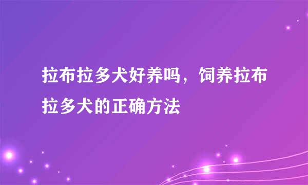 拉布拉多犬好养吗，饲养拉布拉多犬的正确方法