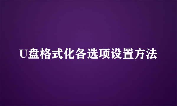 U盘格式化各选项设置方法