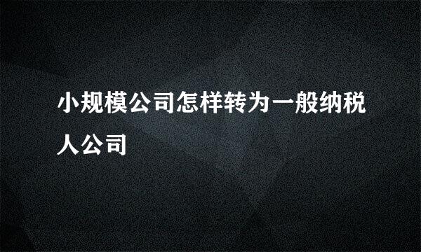 小规模公司怎样转为一般纳税人公司