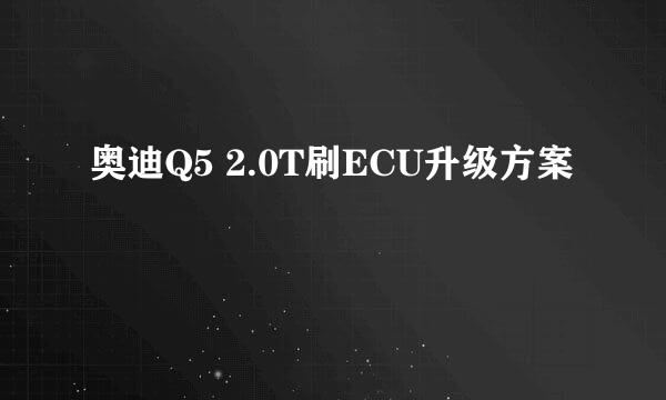 奥迪Q5 2.0T刷ECU升级方案