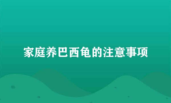 家庭养巴西龟的注意事项