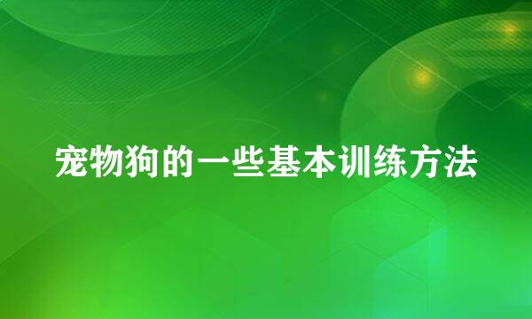 宠物狗的一些基本训练方法