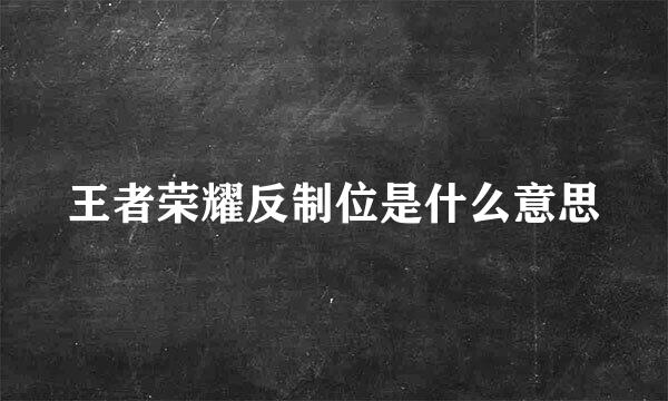 王者荣耀反制位是什么意思