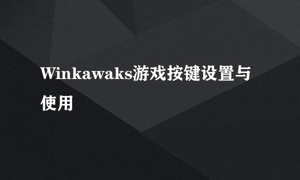 Winkawaks游戏按键设置与使用