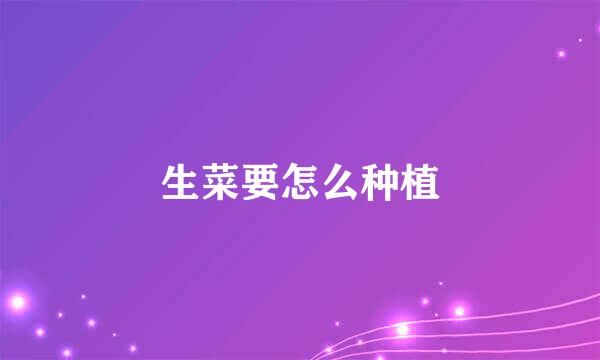 生菜要怎么种植