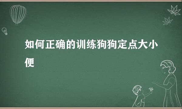 如何正确的训练狗狗定点大小便