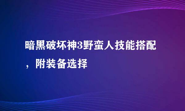 暗黑破坏神3野蛮人技能搭配，附装备选择