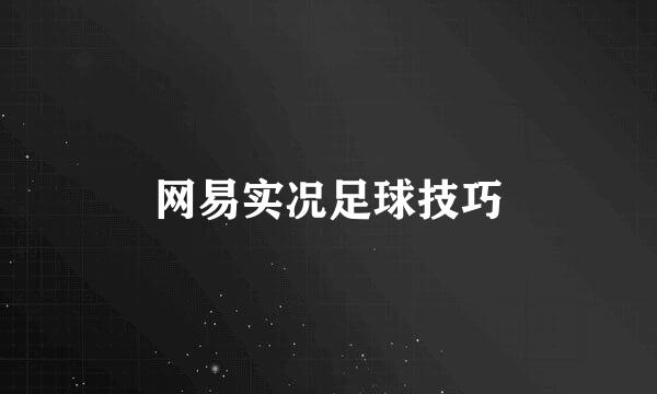 网易实况足球技巧