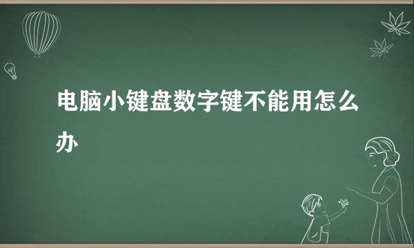 电脑小键盘数字键不能用怎么办