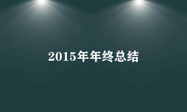 2015年年终总结