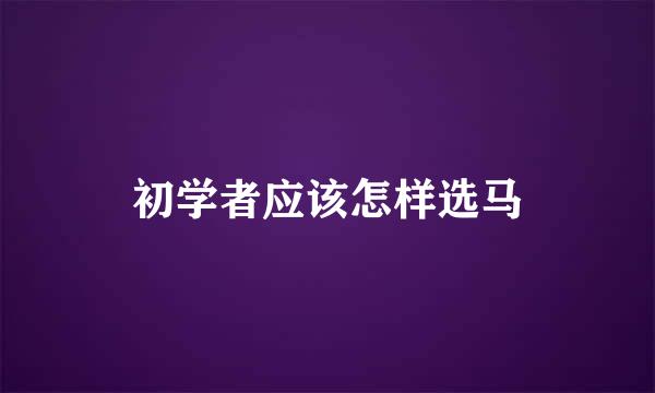 初学者应该怎样选马