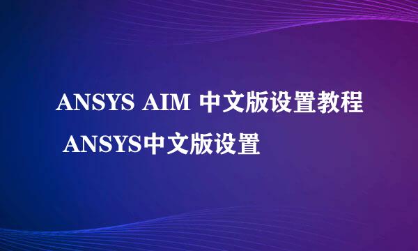 ANSYS AIM 中文版设置教程 ANSYS中文版设置