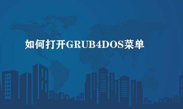 如何打开GRUB4DOS菜单