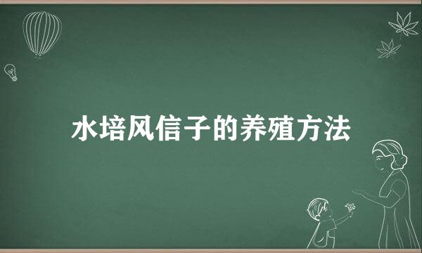 水培风信子的养殖方法