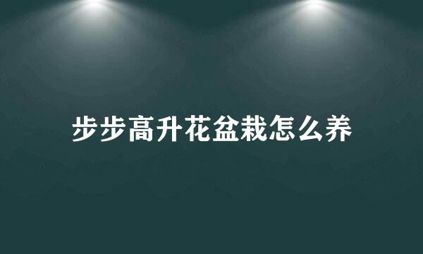 步步高升花盆栽怎么养