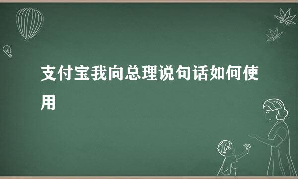 支付宝我向总理说句话如何使用