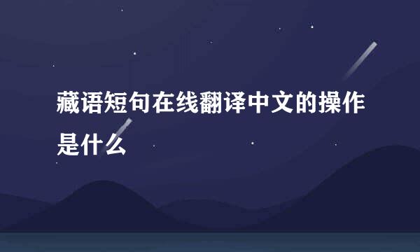 藏语短句在线翻译中文的操作是什么