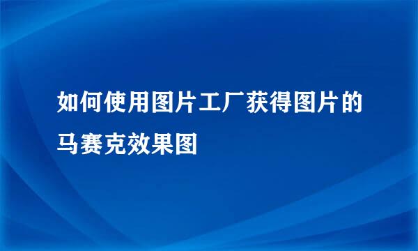 如何使用图片工厂获得图片的马赛克效果图