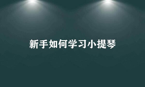 新手如何学习小提琴