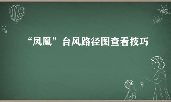 “凤凰”台风路径图查看技巧