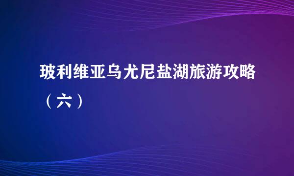 玻利维亚乌尤尼盐湖旅游攻略（六）