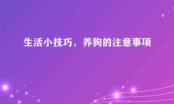 生活小技巧，养狗的注意事项