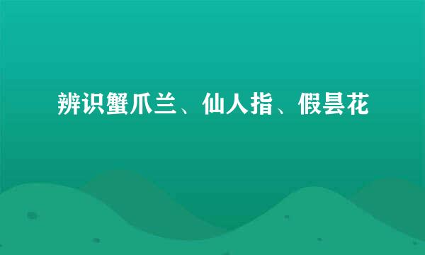 辨识蟹爪兰、仙人指、假昙花