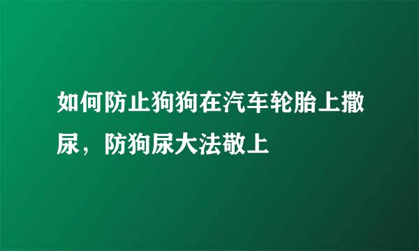 如何防止狗狗在汽车轮胎上撒尿，防狗尿大法敬上