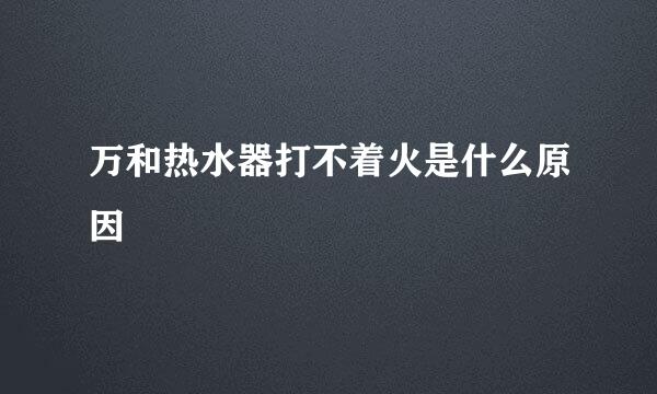 万和热水器打不着火是什么原因