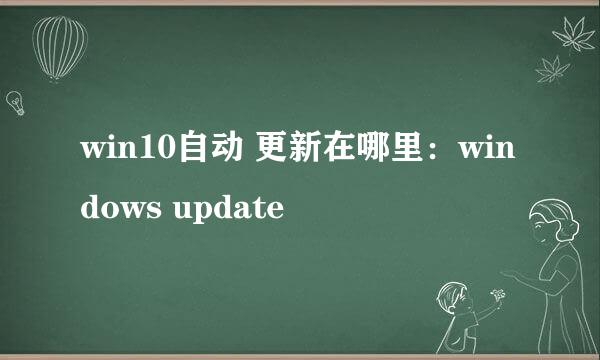 win10自动 更新在哪里：windows update